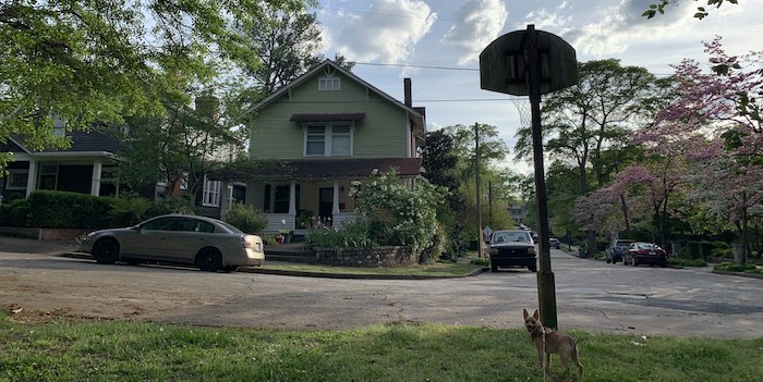 Wooden basketball pole removal service