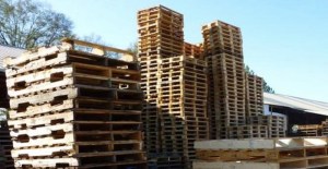 wood pallet disposal carolina