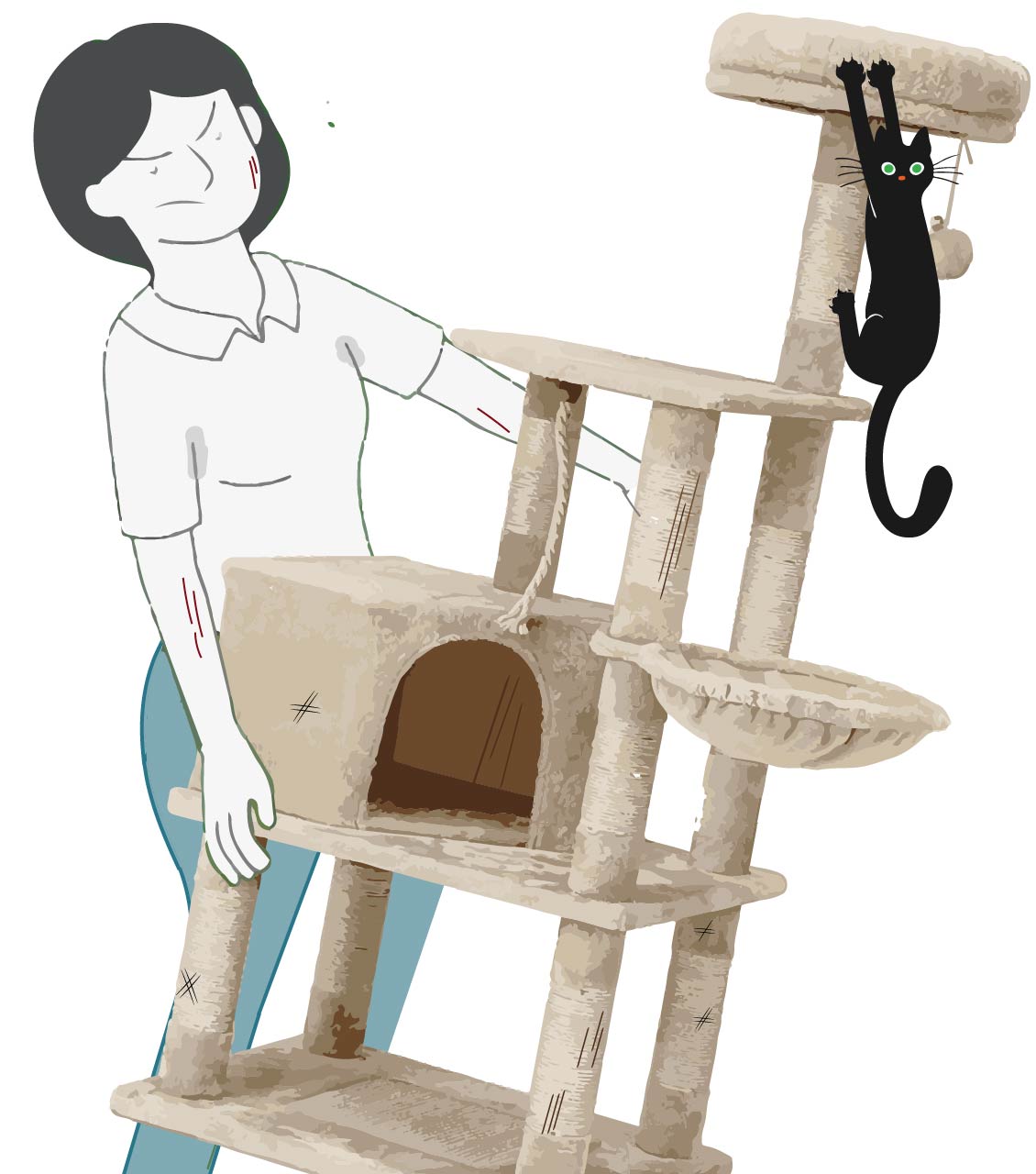 Cat Tree Disposal Services