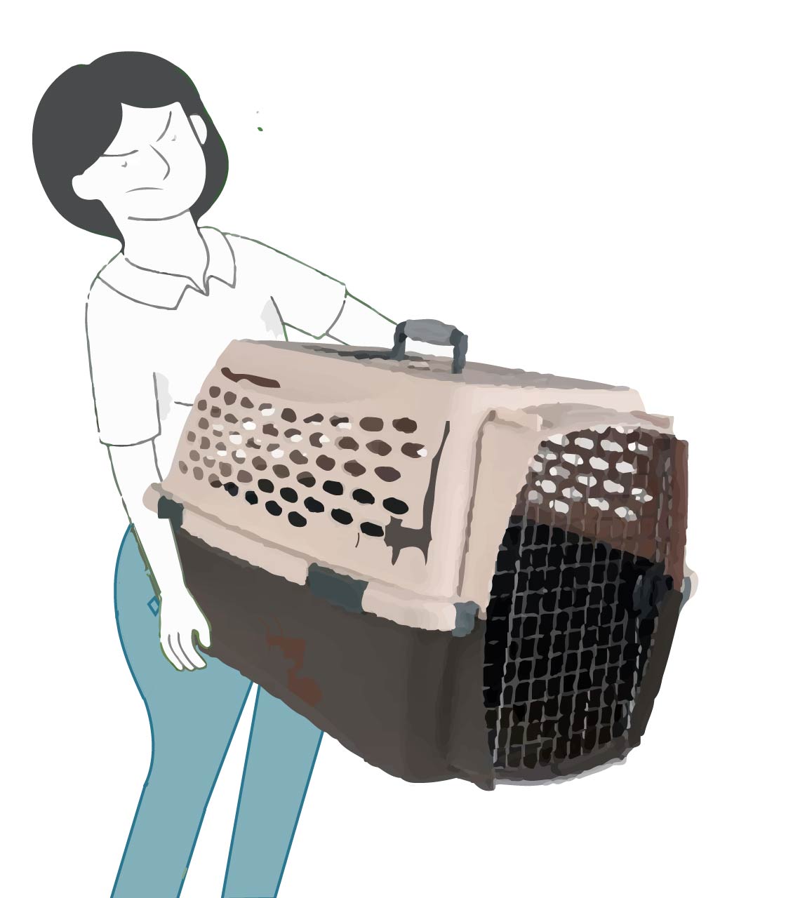 pet crate and carrier disposal services