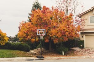 Fall home cleanup