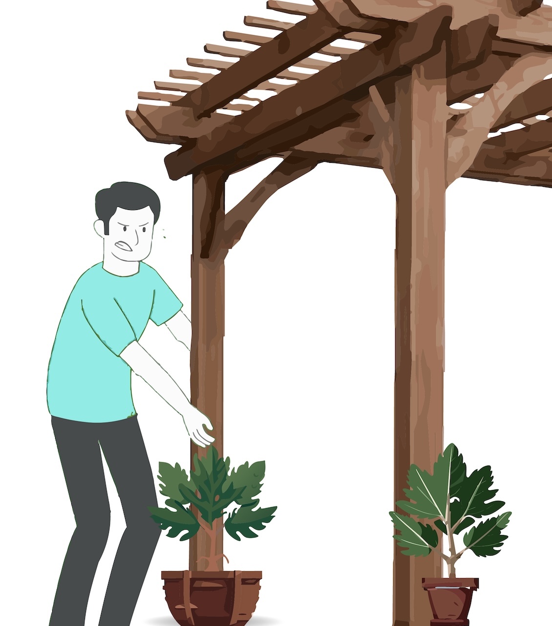 Let LoadUp handle the heavy lifting and haul away your old pergola for disposal.