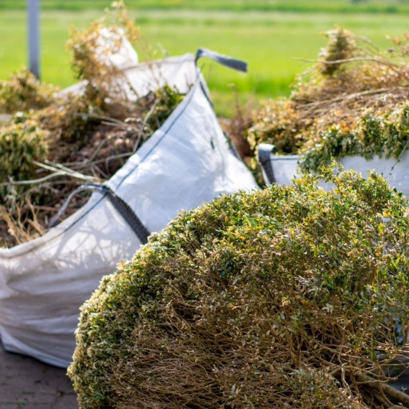 Get fast yard debris removal in Alliance, NE.