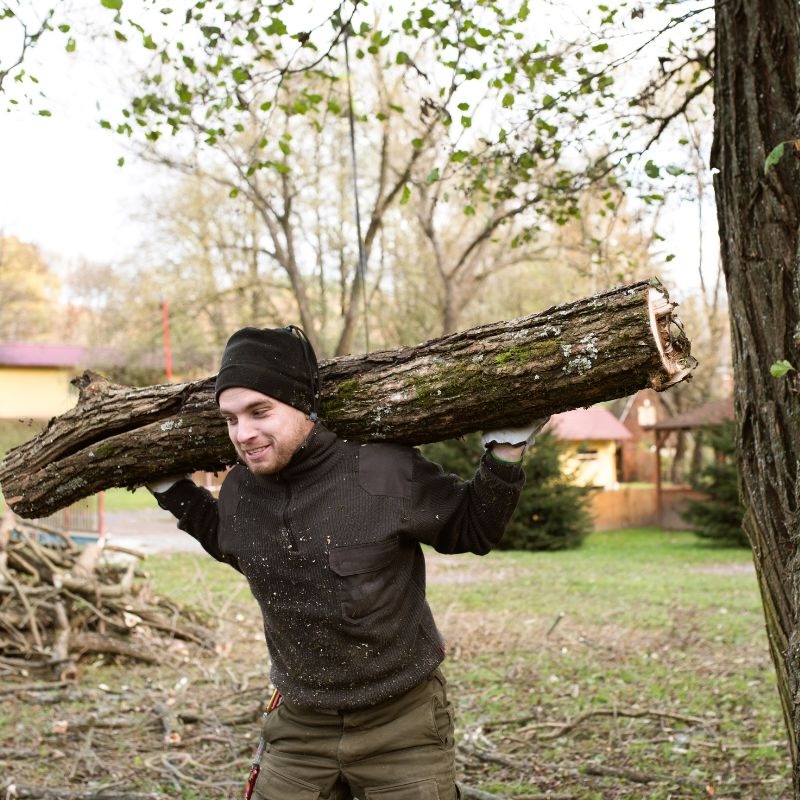 Loader removing firewood from a customers property.