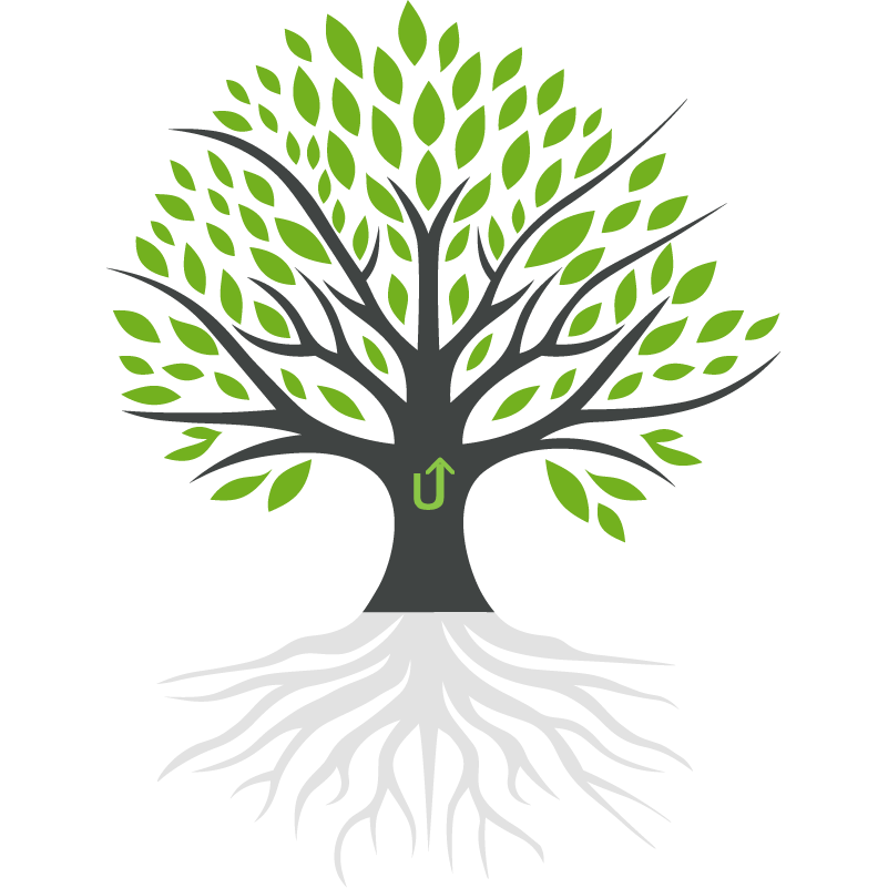 Our Purpose and Values Tree: Planted in Purpose, Rooted with Core Beliefs, Growing with Operating Principles