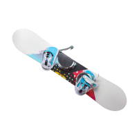 Local snowboard removal and disposal services near me