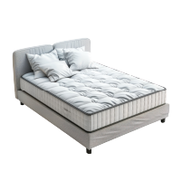 Waterbed removal and disposal services