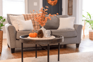 Tidy living room decorated for fall with sunlight and seasonal décor.